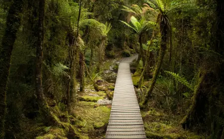 “Climate Litigation in Africa: Anticipating the African Advisory Opinion on Human Rights Obligations of States on Climate Change.”