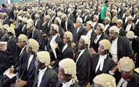 Virtual Conference :“Comparative Legal Traditions and Modern Legal Practice”